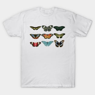 Vintage Butterflies T-Shirt